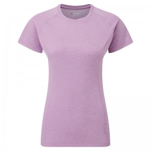 Grey Purple Women's Montane Dart T Shirts | LCZ9815IW